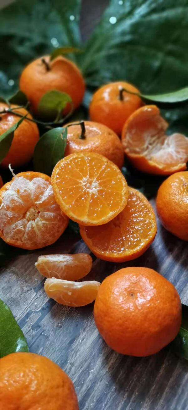 砂糖橘桔子橘子图片