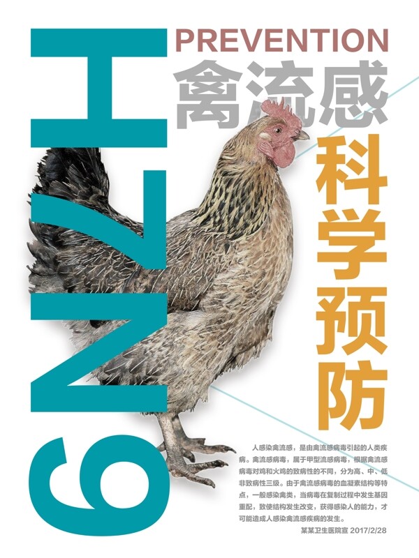 科学预防禽流感卫生宣传展板