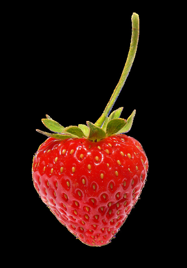 新鲜草莓透明水果素材