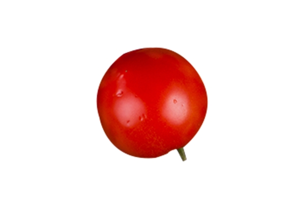 完整西红柿蔬菜矢量图