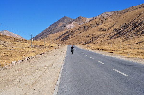 青藏线朝圣之路图片