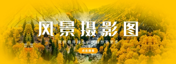 风景摄影图banner