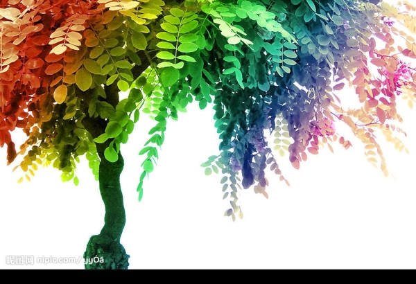 一树繁花彩虹版图片