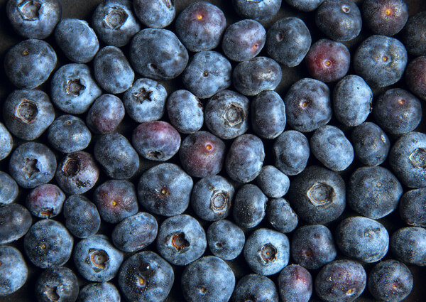 蓝莓贴图纹理纹路水果图片