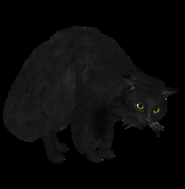 可爱黑猫图片免抠png透明图层素材