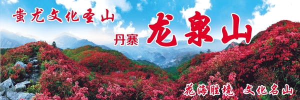 杜鹃花墙画背景图片