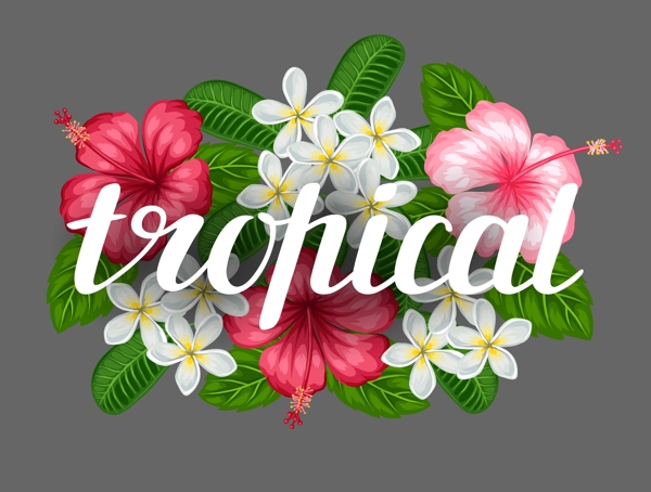 热带植物花朵和艺术字