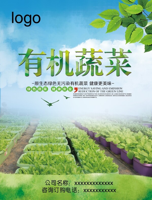 有机蔬菜海报1