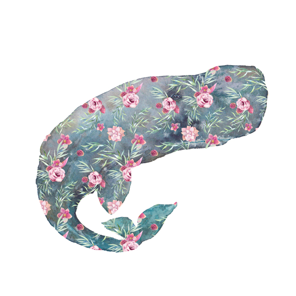 唯美植物艺术海豚