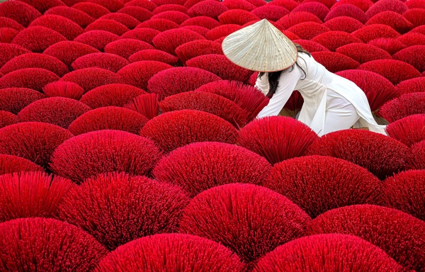 红色花田植物女人背景
