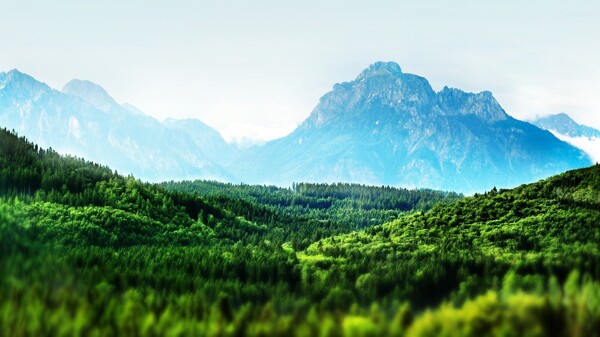 森林山脉自然背景