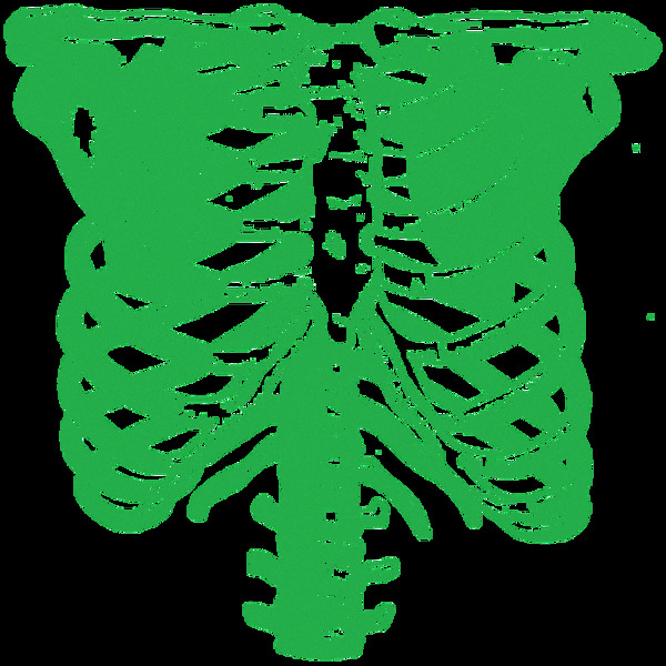 绿色手绘胸腔免抠png透明素材