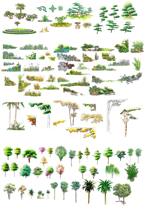 园林绿化树木立面图