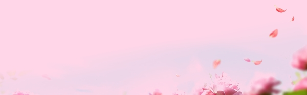 粉色玫瑰简约大气banner背景