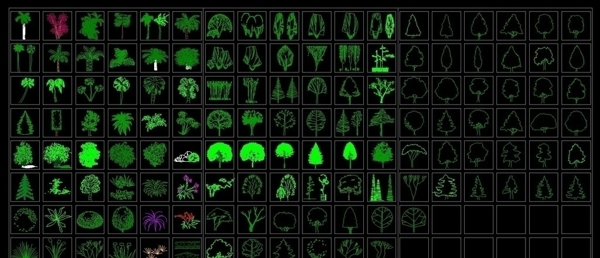 植物立面图片