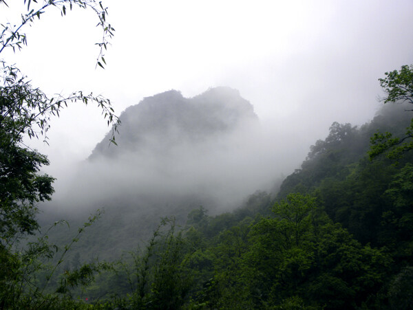山中云雾图片