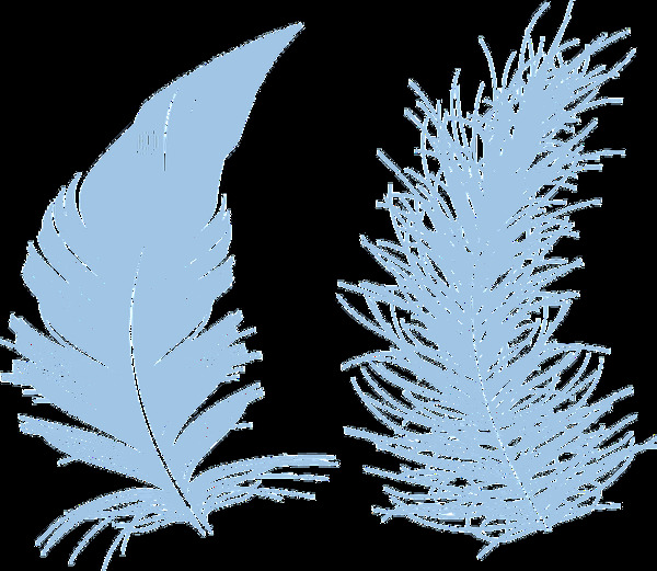 淡蓝色植物透明素材