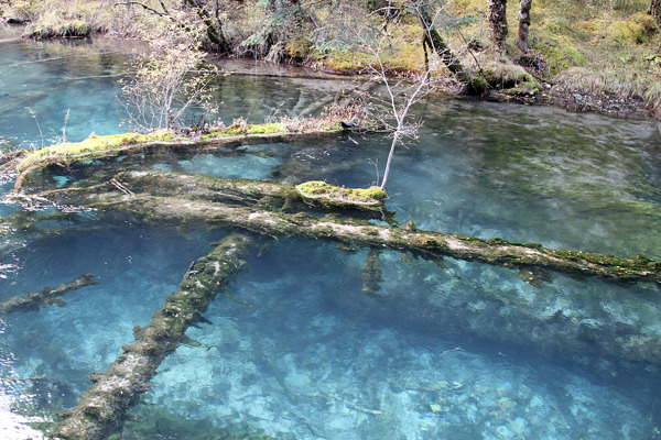 九寨沟水景图片