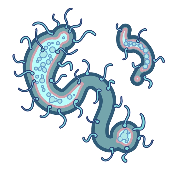蓝色的毛虫细菌插画