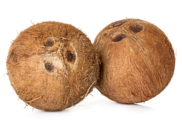 两个椰子图片