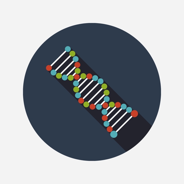螺旋基因图谱