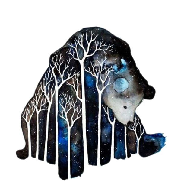 迷幻的唯美星空抽象树木笨重狗熊