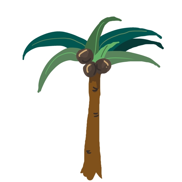 绿色棕榈树植物
