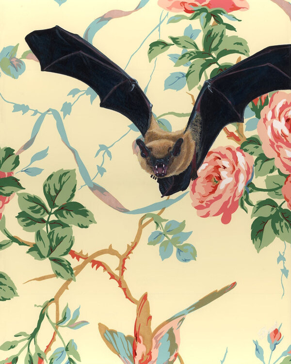 位图插画动物蝙蝠植物免费素材