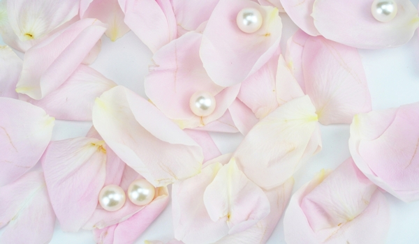 唯美粉色玫瑰花瓣图片