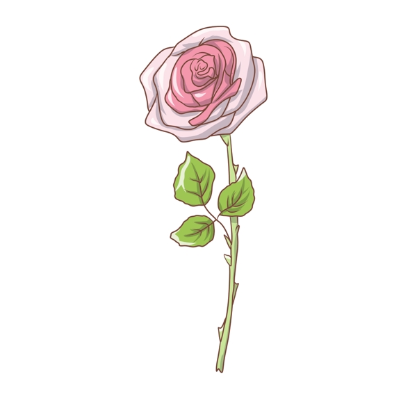 粉色的玫瑰花插画