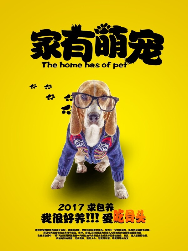 宠物狗萌宠宣传海报