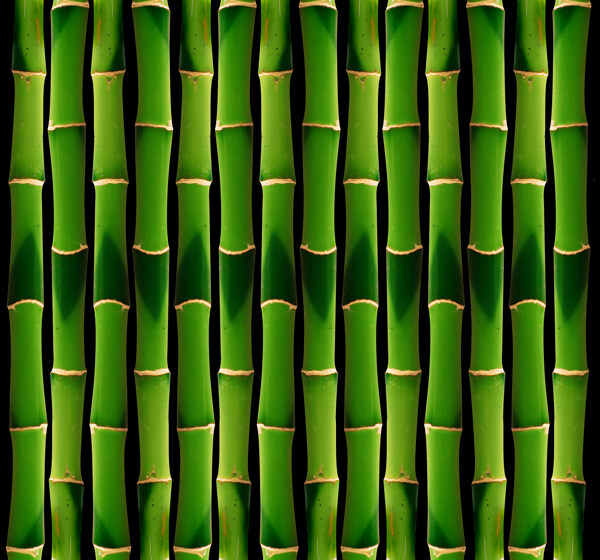 翠竹竹子背景图片