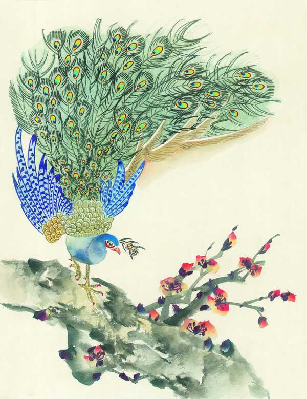 梅花树上的孔雀