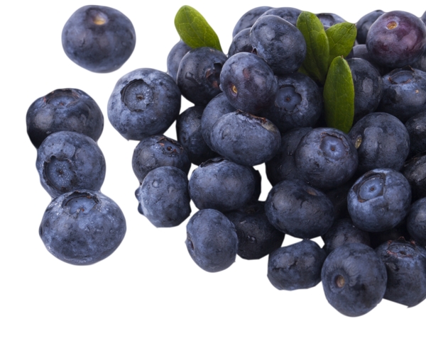 美味好吃的蓝莓纯天然