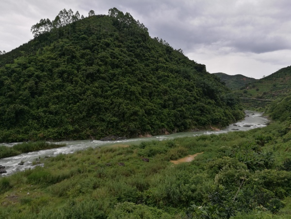 青山绿水