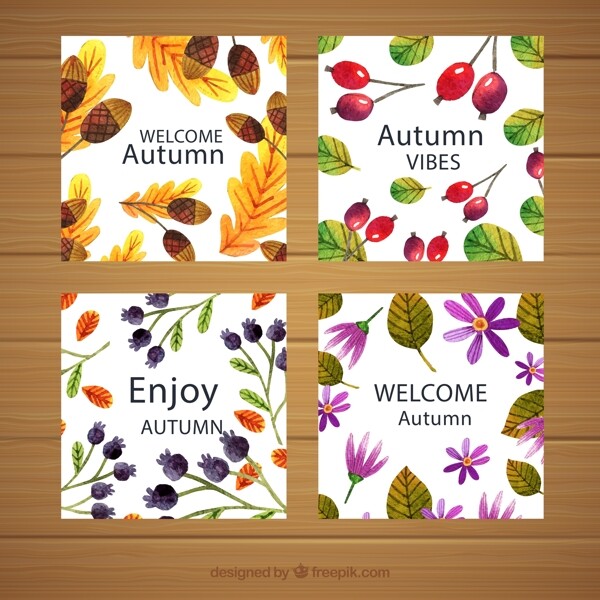 秋季花草卡片图片