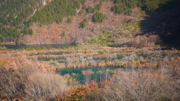 九寨沟