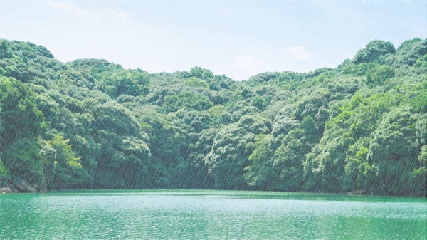 背景图下雨春天