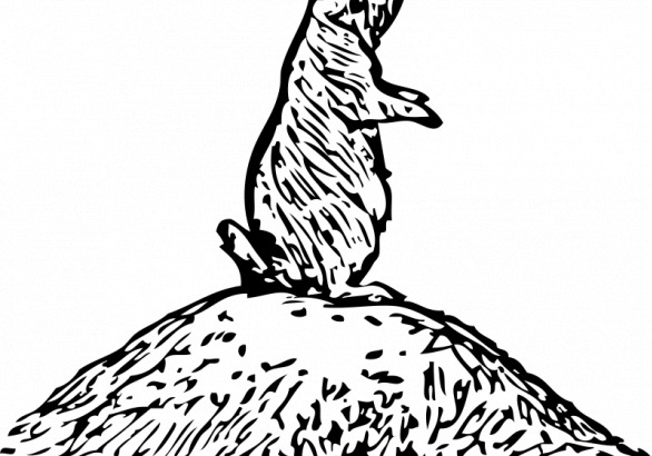 草原犬鼠的矢量图形