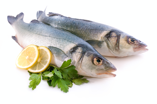 海鲜鱼美食食材背景海报素材图片