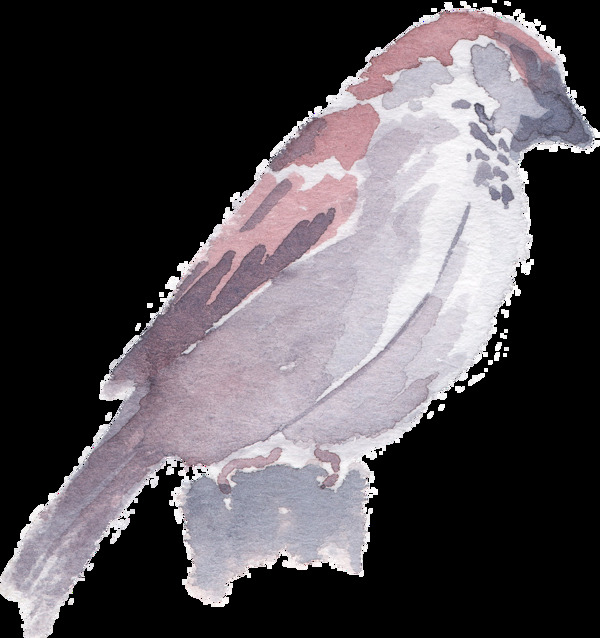 手绘站着的小鸟水彩透明素材
