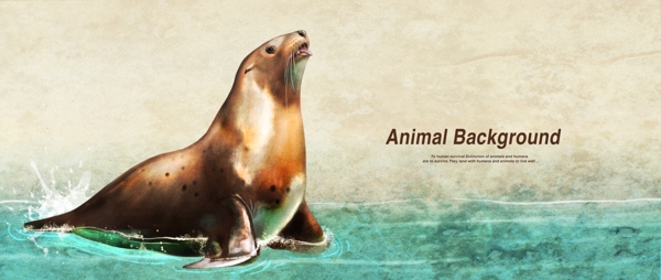 彩铅画效果动物分层背景海豹