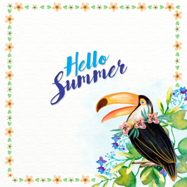 手绘水彩夏日巨嘴鸟花卉框架