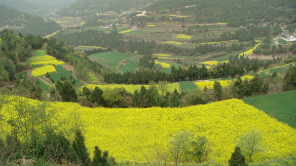 山水画图片