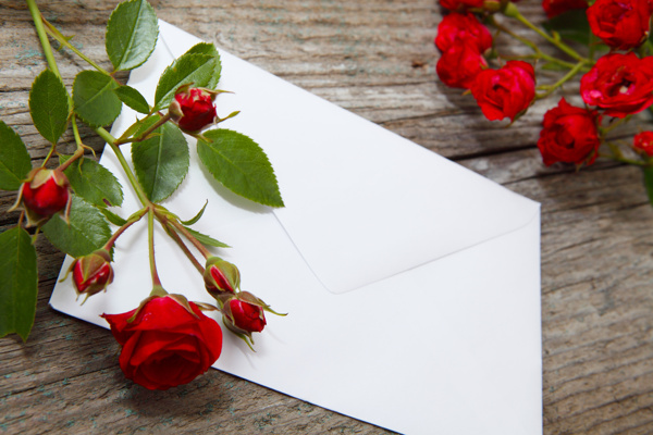 信封上的玫瑰花图片