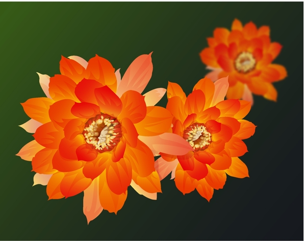 印花矢量图插画植物花卉艺术效果免费素材