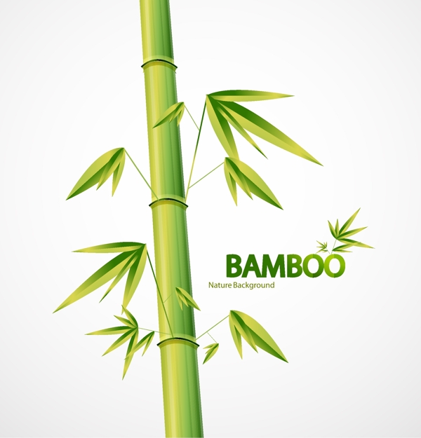 竹的自然背景