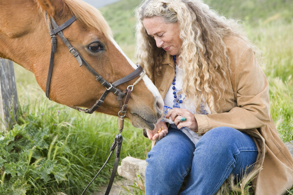 正在喂马的女人图片