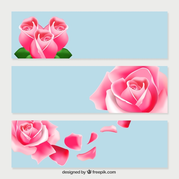 3款粉色玫瑰banner矢量素材