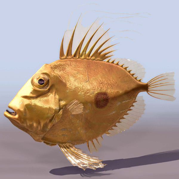 热带鱼动物3D模型素材